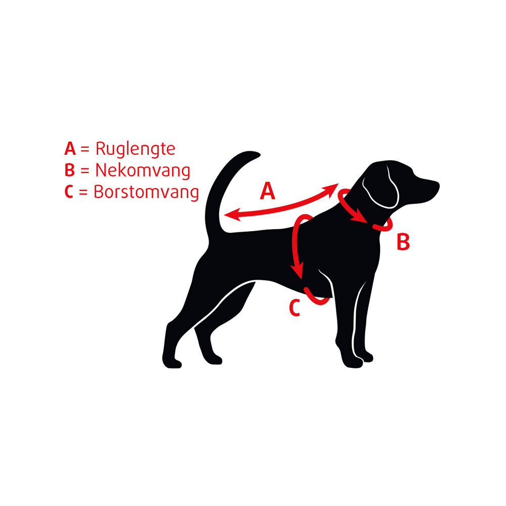 Beeztees Halsband Hond Leer