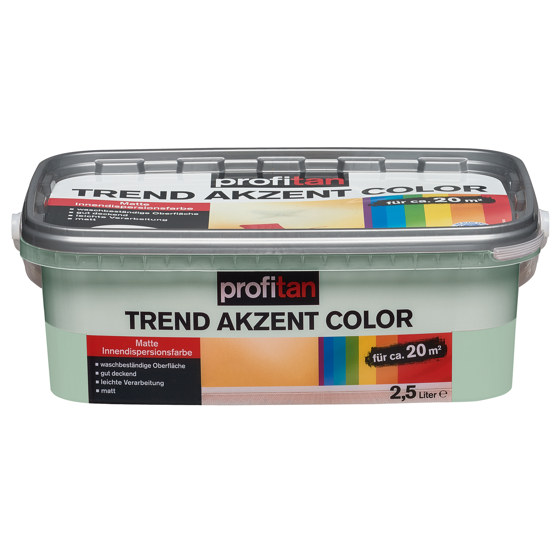 profitan Wandfarbe Trend Akzent Color - mint - 2,5 Liter