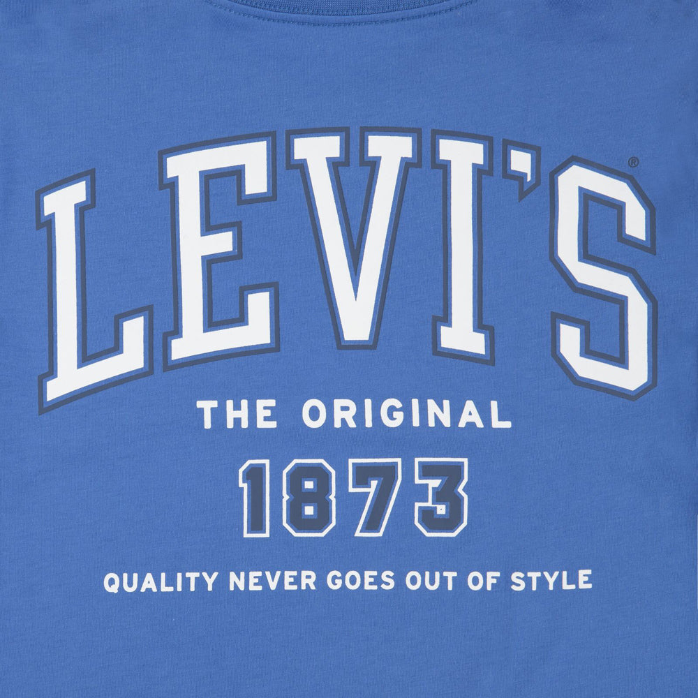 LVB ALWAYS t-shirt