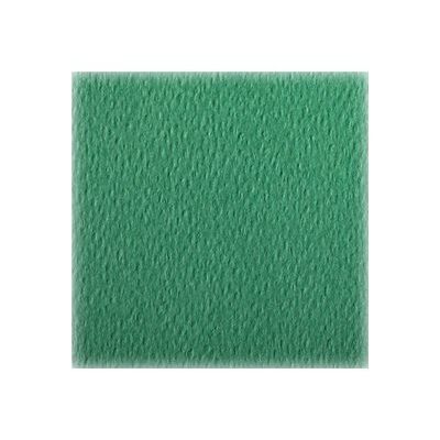 Clairefontaine - Papier dessin couleur à grain - feuille 50 x 65 cm - vert foncé