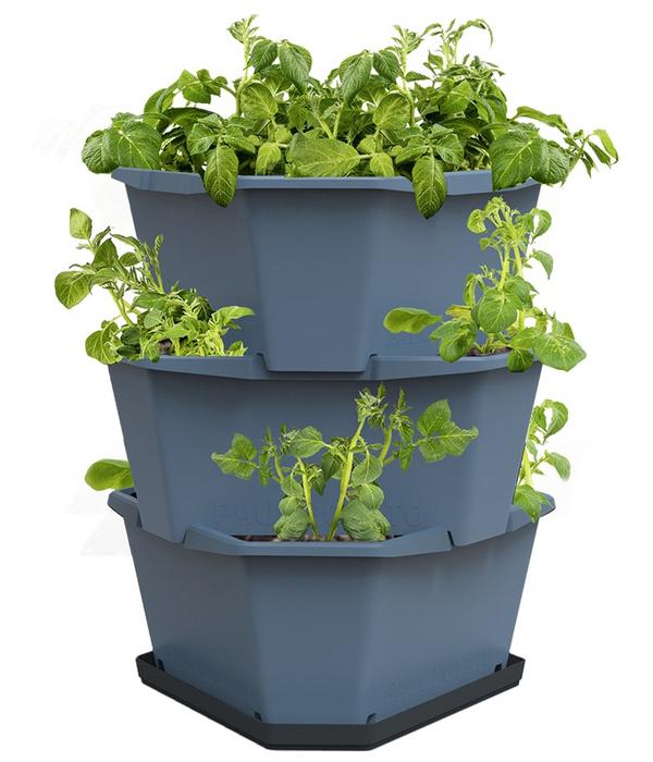 Gusta Garden Kartoffelturm Paul Potato