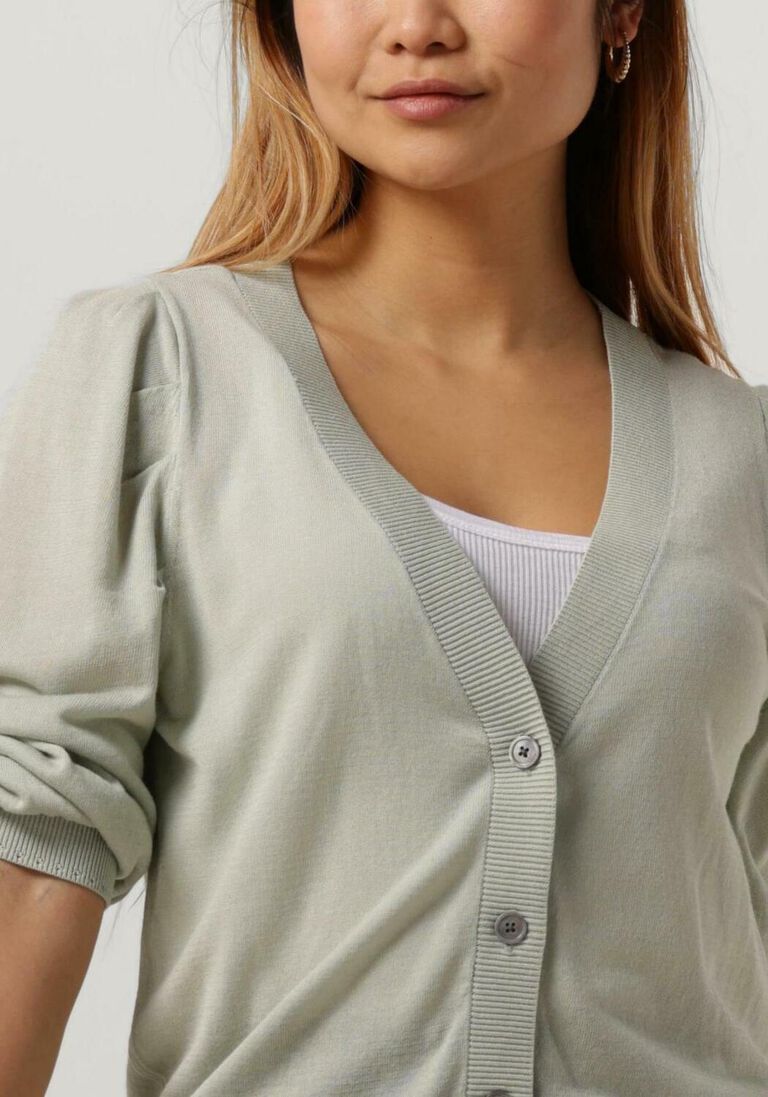 RUBY TUESDAY grijze ruby tuesday vest vester v neck cardigan