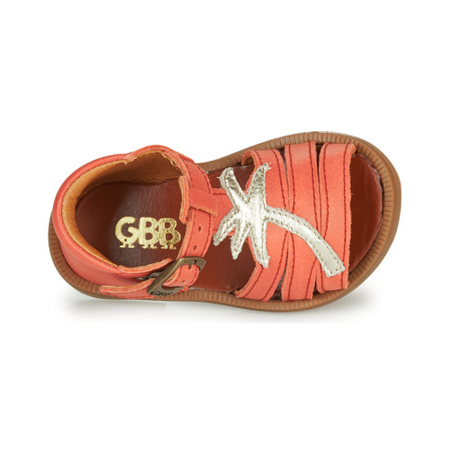 GBB - ARAGA - Corail