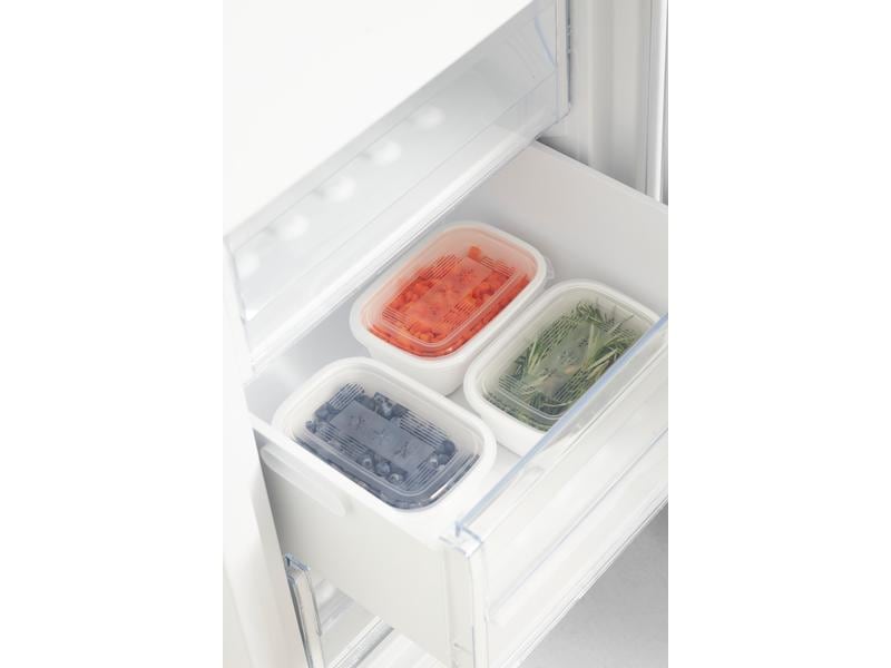 Rotho Vorratsbehälter Freeze 3 Stück, 1 l, Transparent Gefrierdosenbox für Lebensmittel