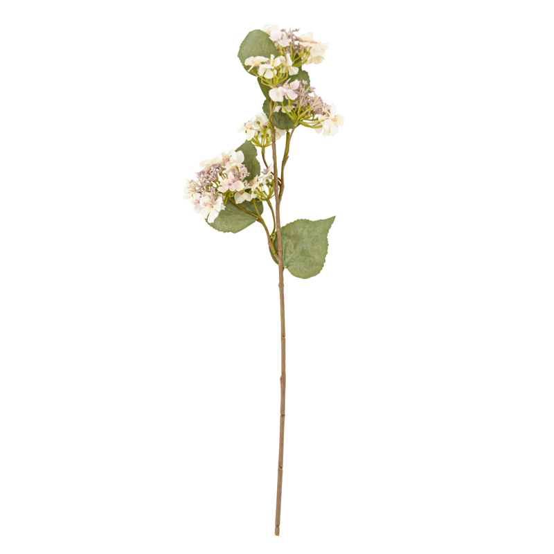 Tige d'hortensia 'Coeur d'Automne'