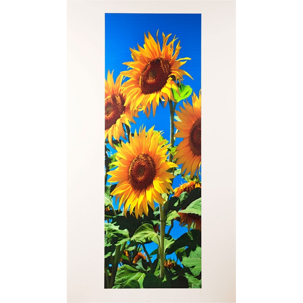 Poster de porte tournesols