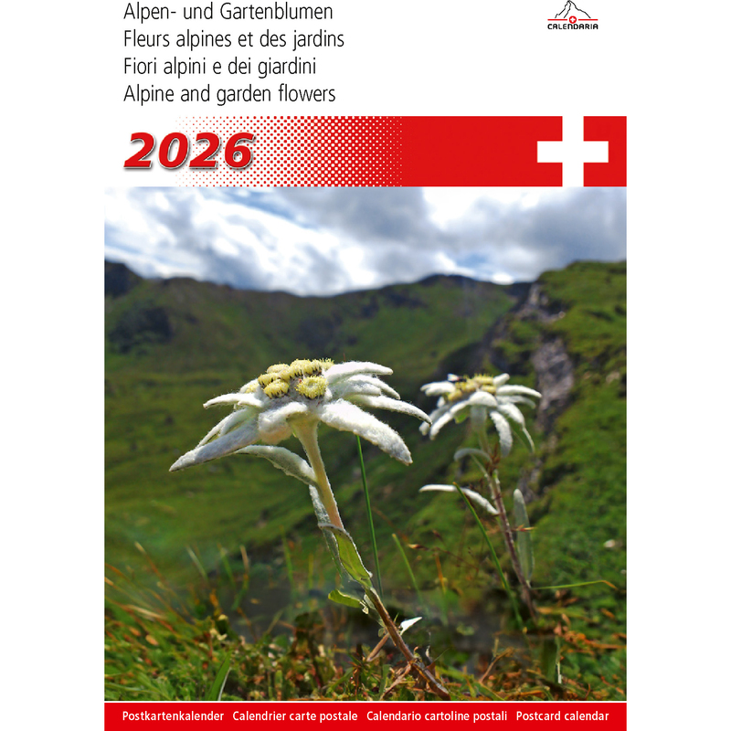 Calendaria Bildkalender 2026 Alpen- und Gartenblumen, 1 Monat / Seite