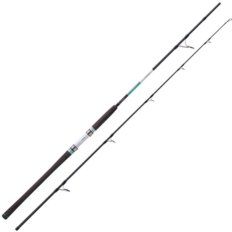 Canne Spinning Balzer 71° North Power Pilk