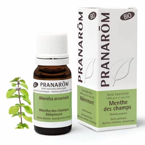 Menthe des champs - 10 ml Partie aérienne bio