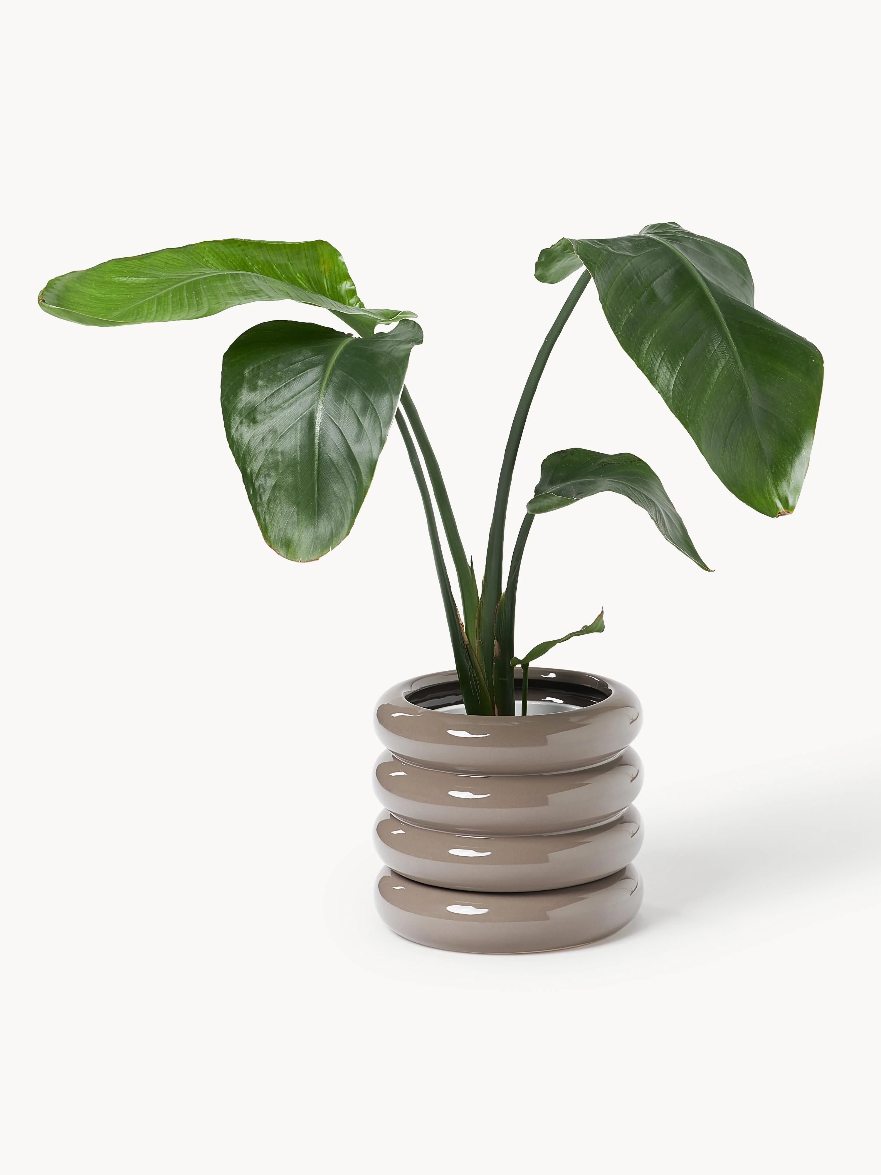 Kleine plantenpot Rudi van keramiek, H 16 cm
