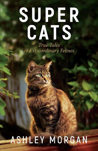 Super Cats: Inspirational True Tales of Real-Life Cat Heroes That Will Melt Your Heart (Paperback)
