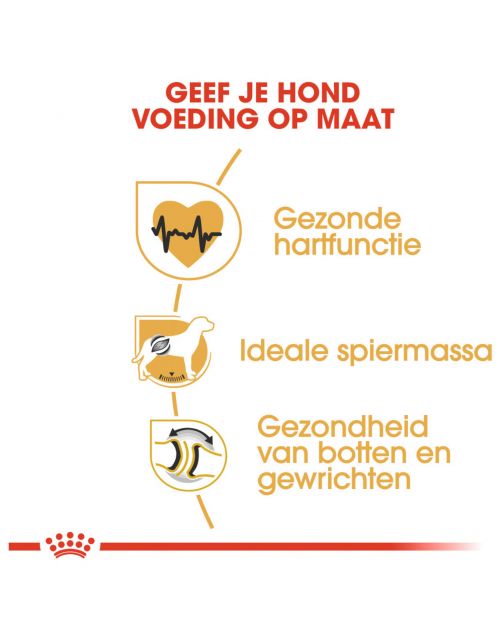 Royal Canin Rottweiler Adult - Hondenvoer