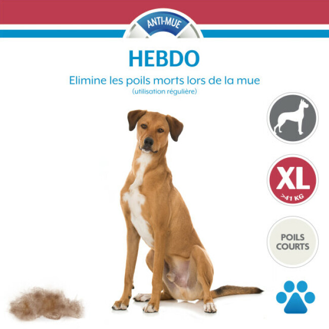 Brosse FURminator pour chien à poils courts