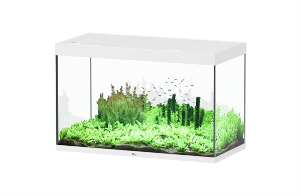 Aquatlantis Sublime 120x60 aquarium | Gloednieuw