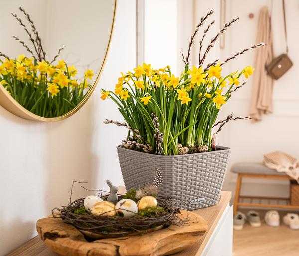 LECHUZA® Kunststoff-Topf Bacino Cottage inkl.