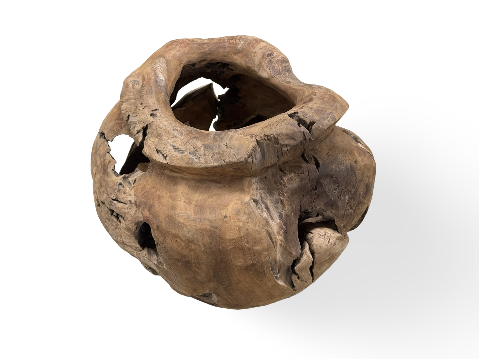 Planter unieke groot