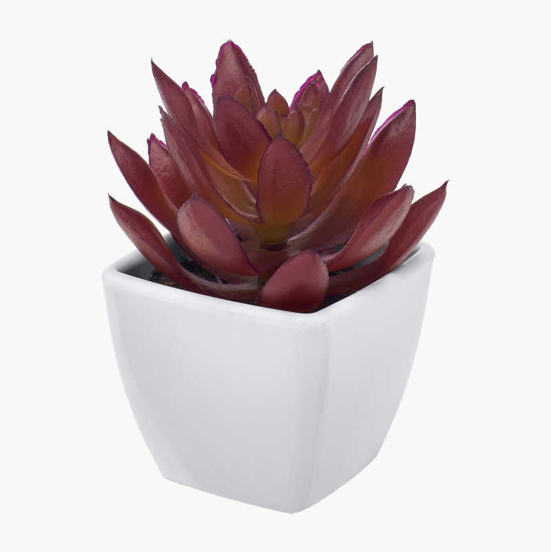 Kunstig plante, sukkulent, 2-pakning
