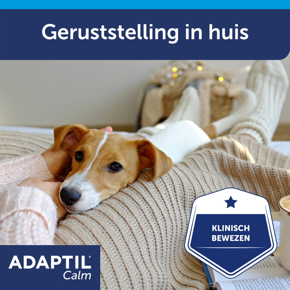 Adaptil Calm Anti-Stress Navulling48 ml
