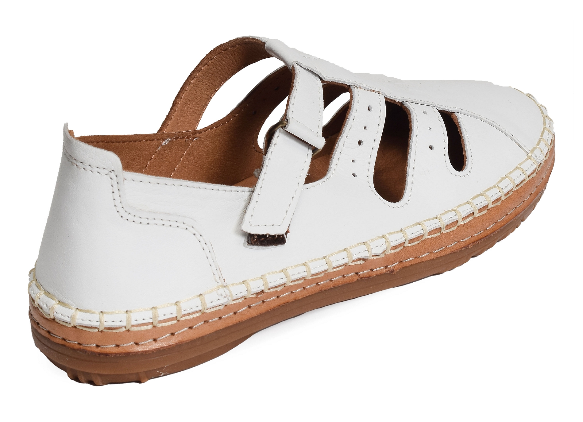 Palpe blanc