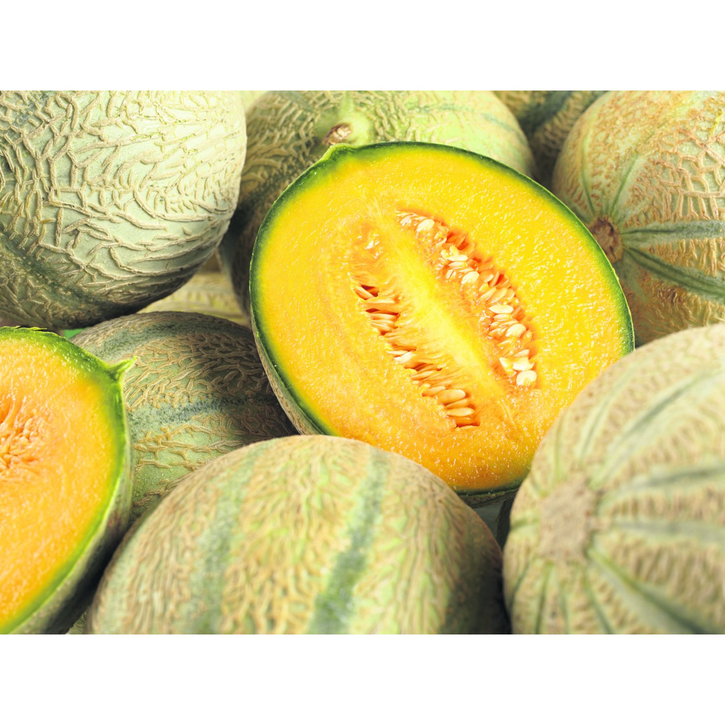 Naturaplan Bio Melone Charentais 1 Stück -