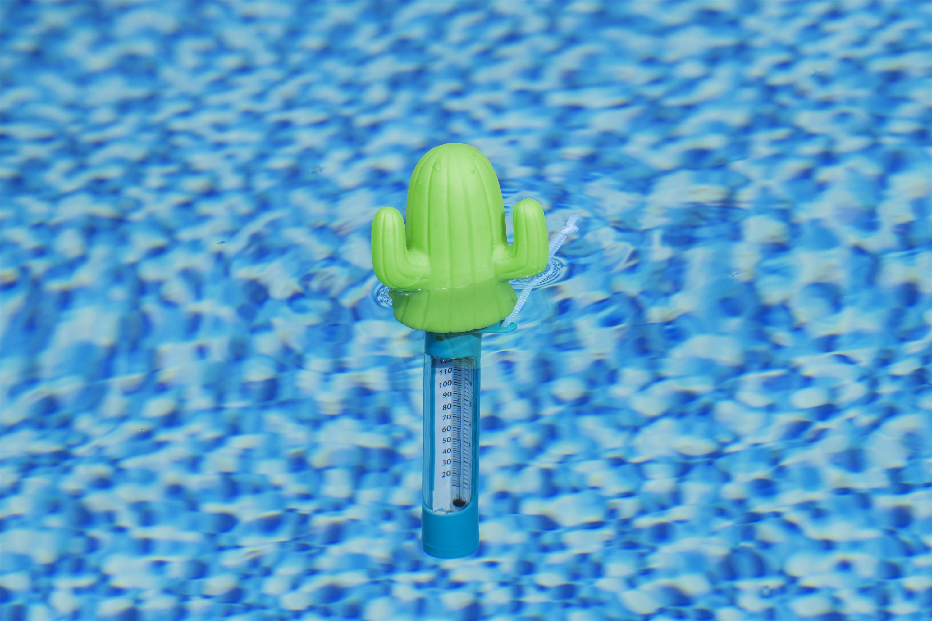 Pool Thermometer Kaktus