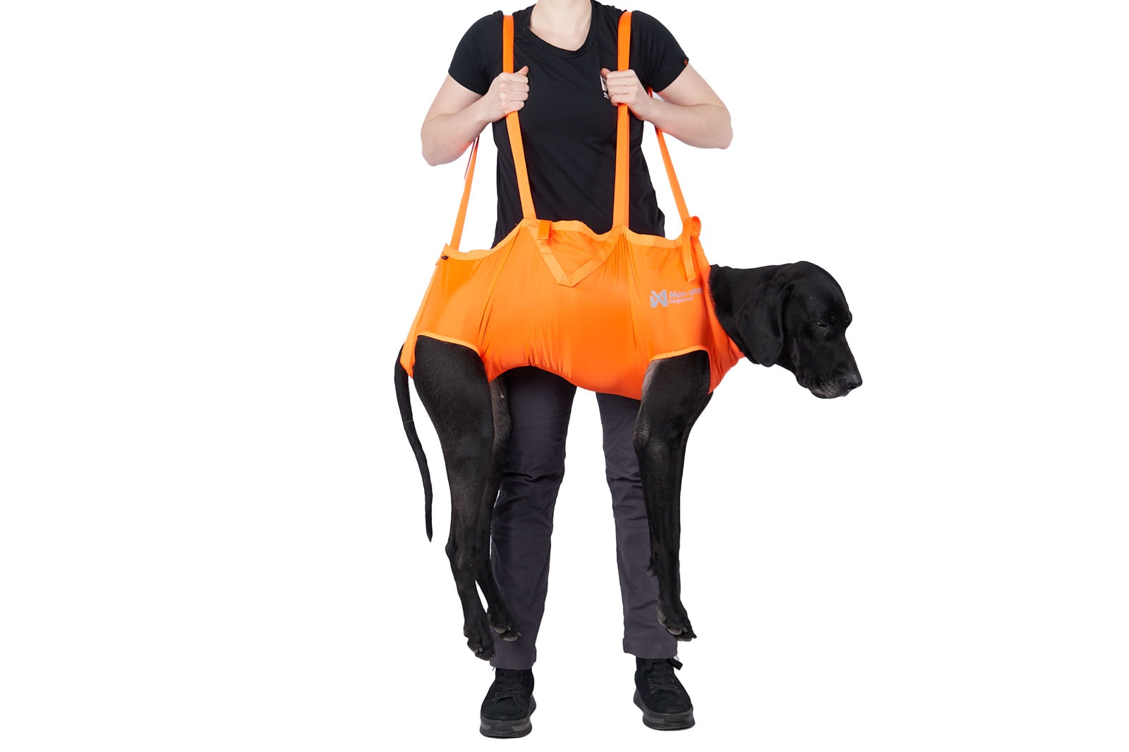 Non-Stop Dogwear Dog rescue sling<br>Lett, rask og pålitelig – når hunden trenger deg mest!