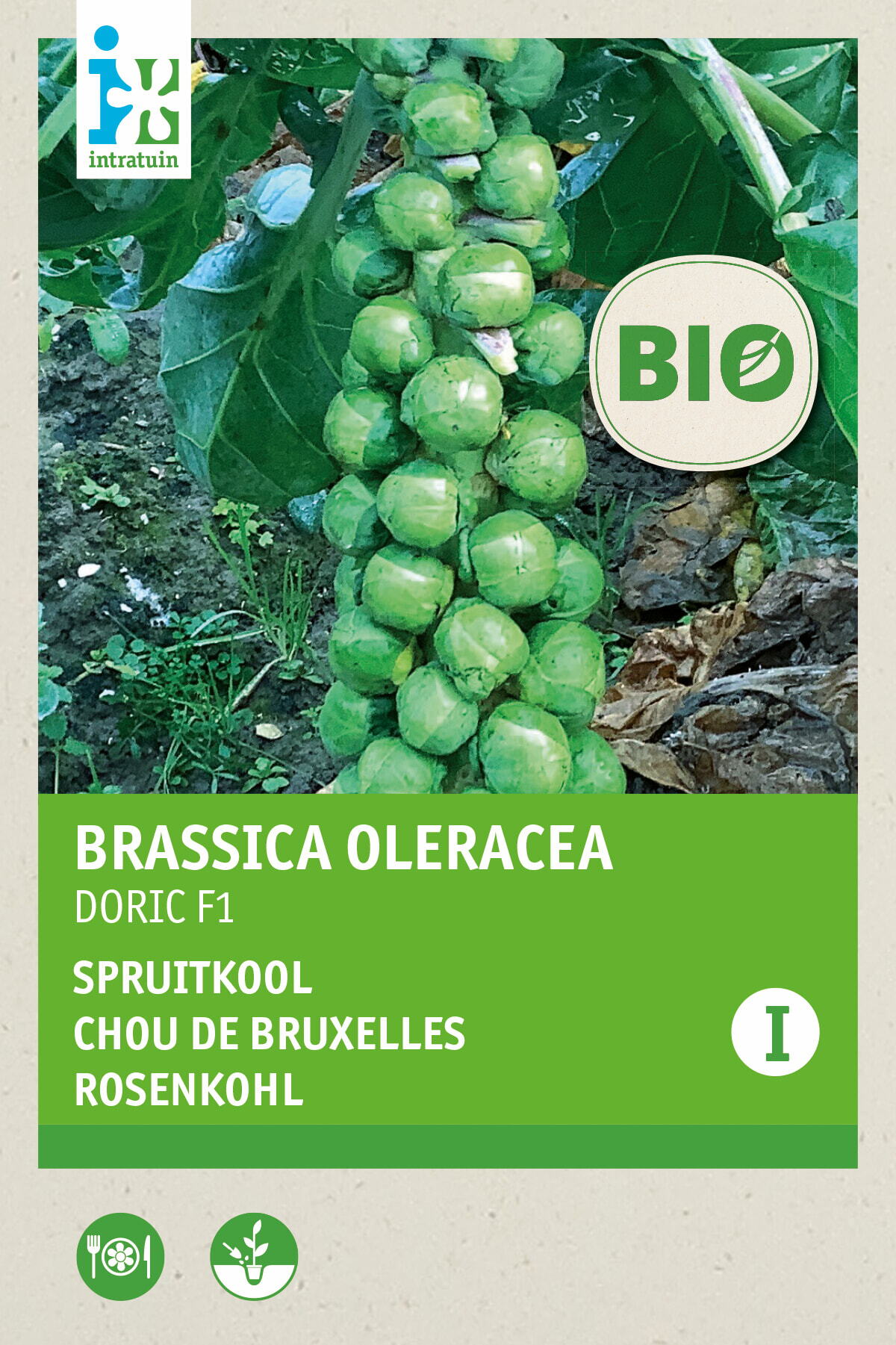 Intratuin Biologisch groentezaad Spruitkool (Brassica oleracea 'Doric)