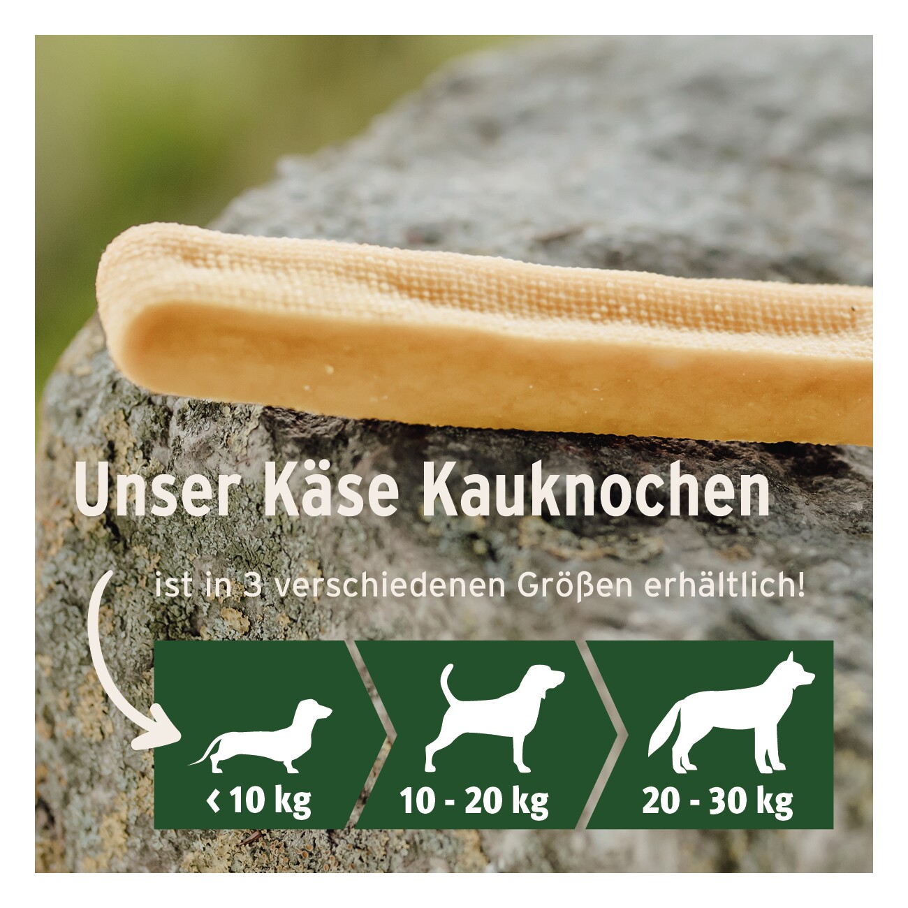 AniForte Käsekauknochen für Hunde 34 g