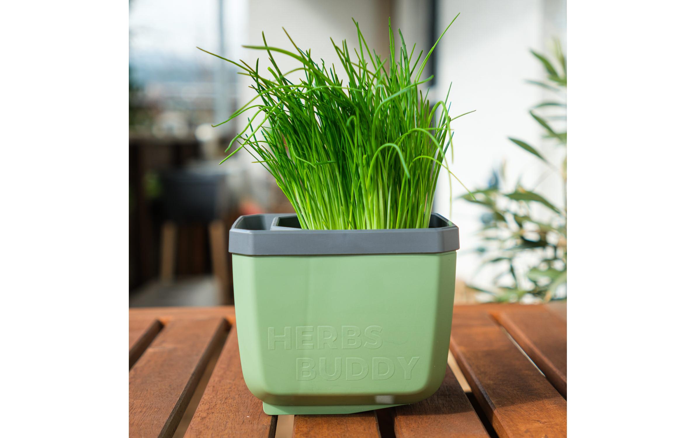 HERBS BUDDY Kräutertopf DunkelgrünKräutertopf mit Wasserreservoir und Kippfunktion