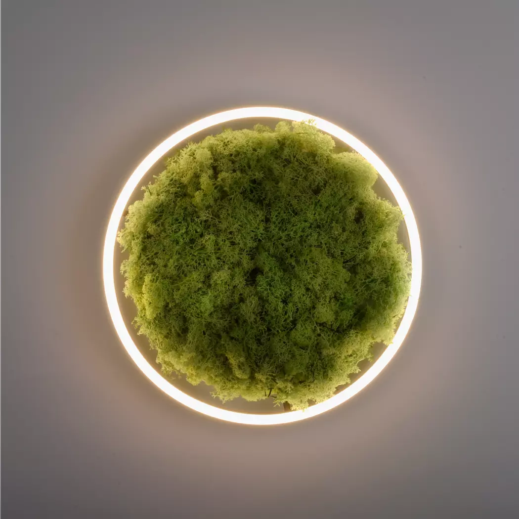 LED-Deckenleuchte Green Ritu