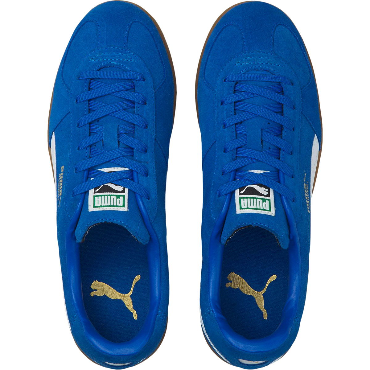 PUMA Handball Indendørssko Herre