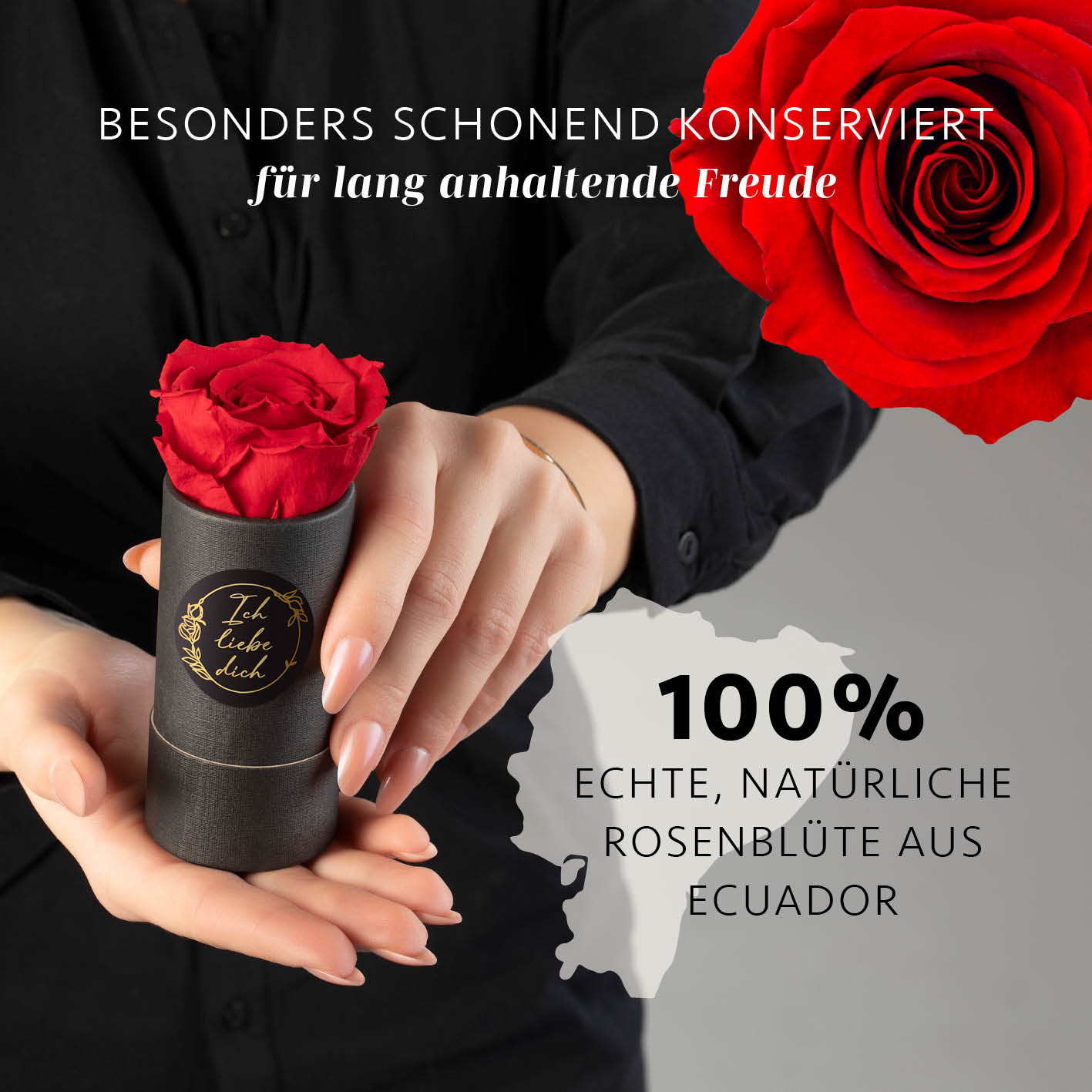 MyFlowers Infinity Rose 100% echte Rose