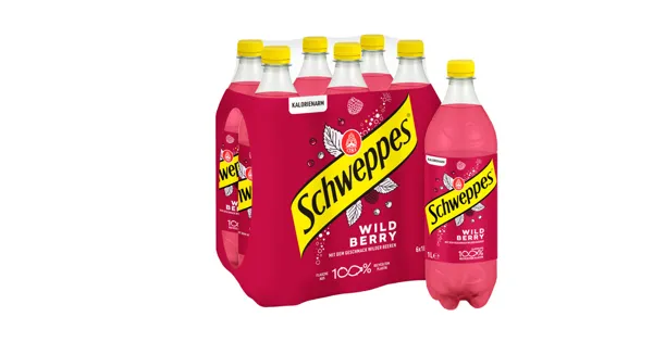 Schweppes Wild Berry 6x1l