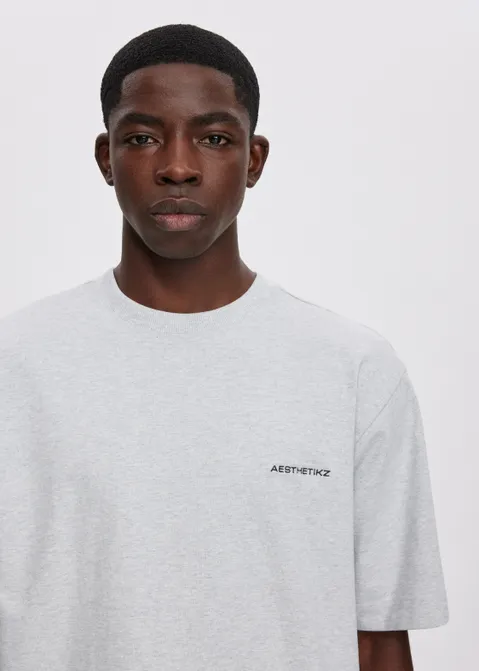 Oversized t-shirt block grijs (GRS.LME)