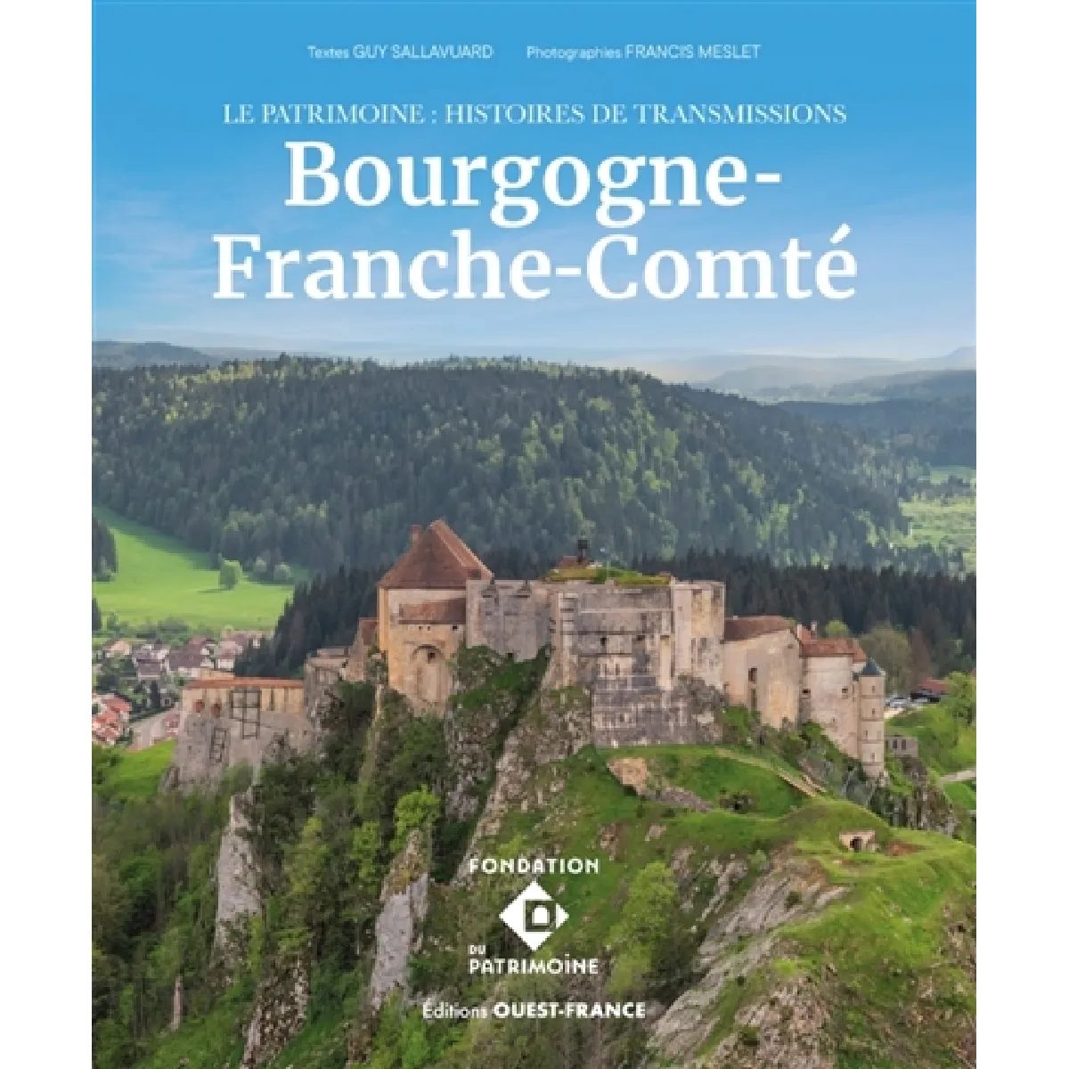 Bourgogne-Franche-Comté : le patrimoine : histoires de transmissions · Occasion