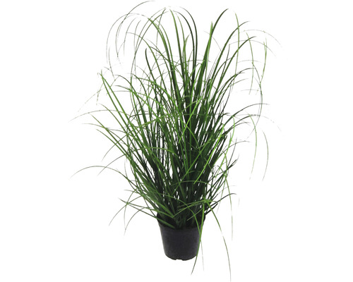 Kunstgras plant, hoogte: 60 cm, groen