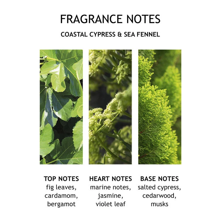 Molton Brown Coastal Cypress & Sea Fennel Fine Liquid Hand Wash