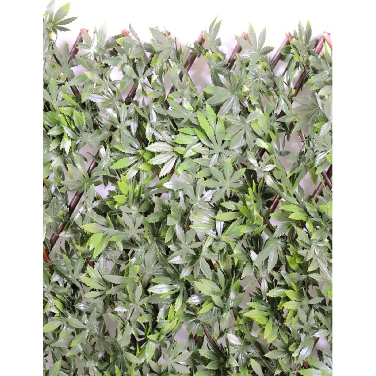 Pegane ARALIA PALISSADE artificielle - 100 x 200 cm