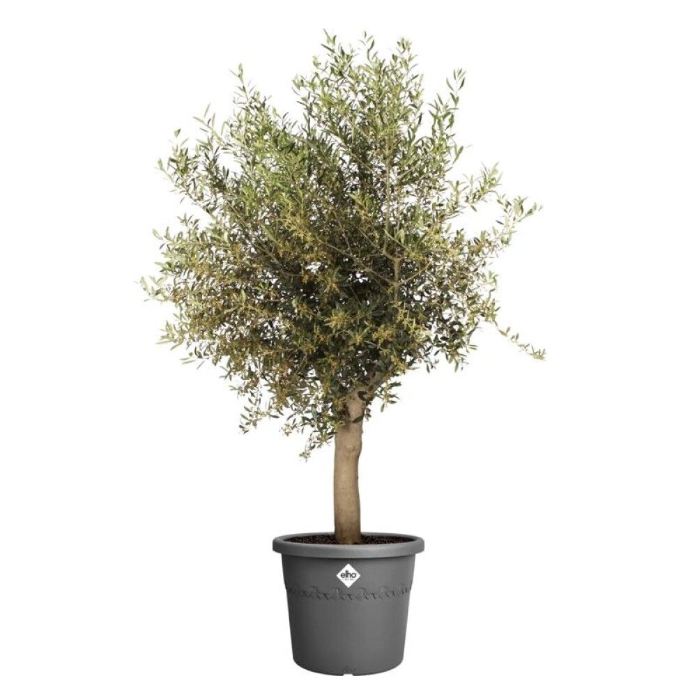 KRUKKE ELHO ALGARVE CILENDRO ANTRASITT Ø40CM