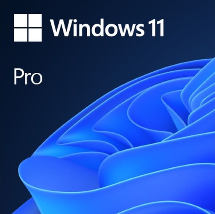 Besturingssysteem - Windows 11 - Digitale Download