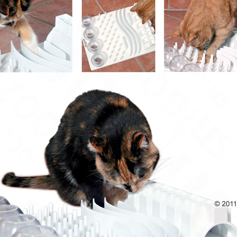 Jouet Cat Activity Fun Board à prix discount sur bitiba.fr