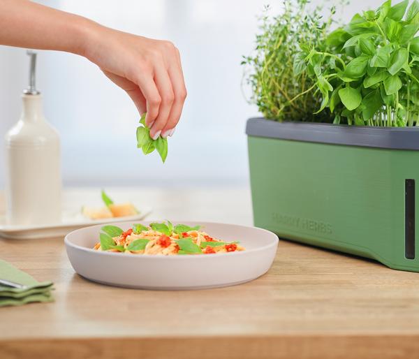 Gusta Garden Kräutertopf Harry Herbs, ca.