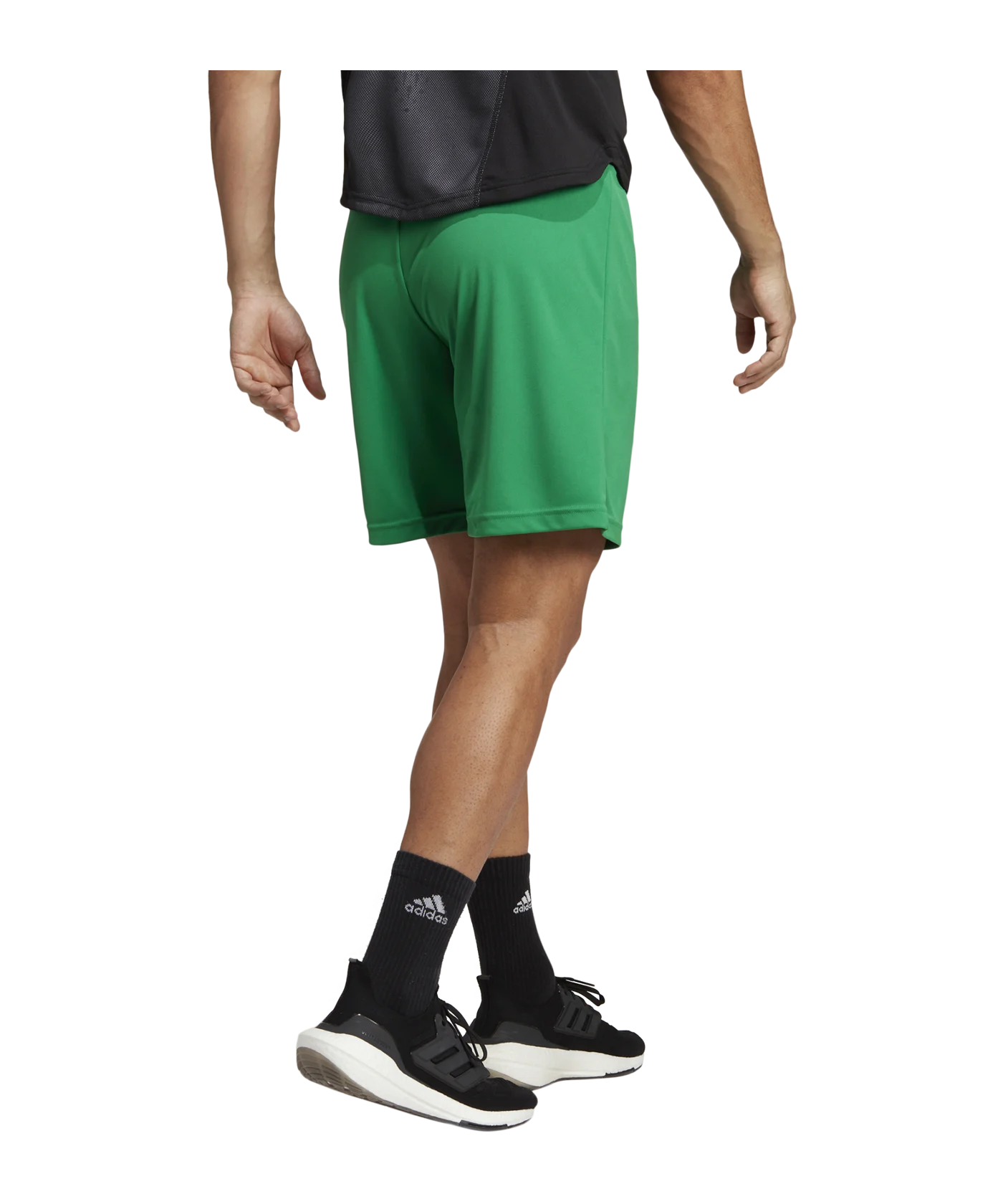 adidas Entrada 22 Short Grün