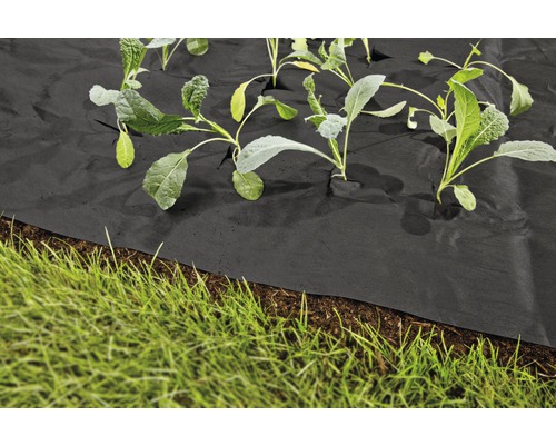 Mulchvlies FloraSelf 5x1,5 m 50g/m² zwart