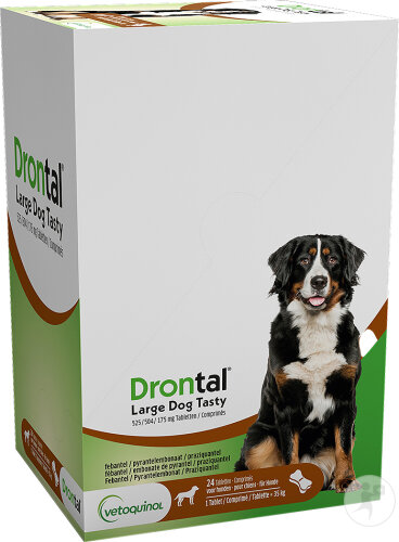 Drontal Large Dog Tasty 525/504/175mg Infections Mixtes Nématodes Et Cestodes Chiens 24 Comprimés