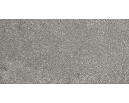 FLAIRSTONE porseleinen terrastegel Luna Silver gerectificeerde rand 100 x 50 x 2 cm