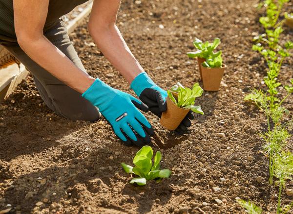 GARDENA Pflanz- und Bodenhandschuh