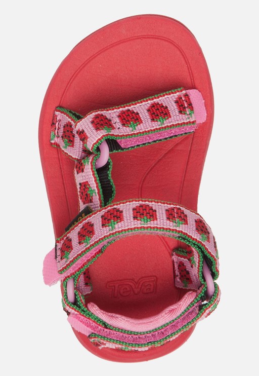 Hurricane sandalen roze