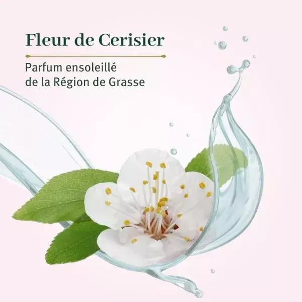 Le Petit Olivier - 2 Sabonetes Extra Suaves - Flor de Cerejeira 2 x 100g
