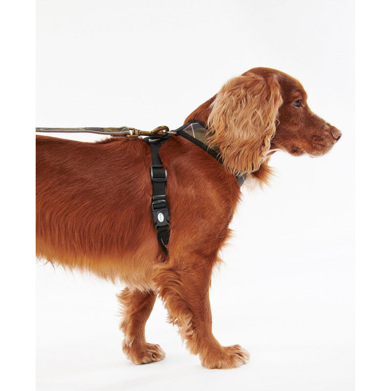 Tartan Dog Harness - Harnais pour chien